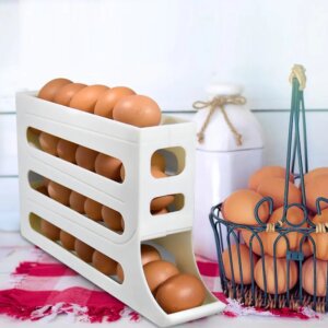 منظم بيض _ Egg Holder Storage